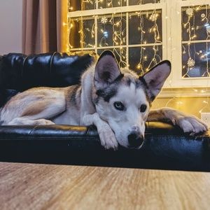 Meet your Posher, Robin